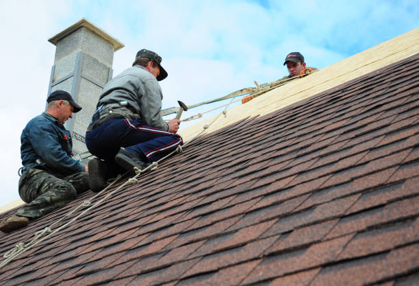 Best Storm Damage Roof Repair  in Steubenville, OH